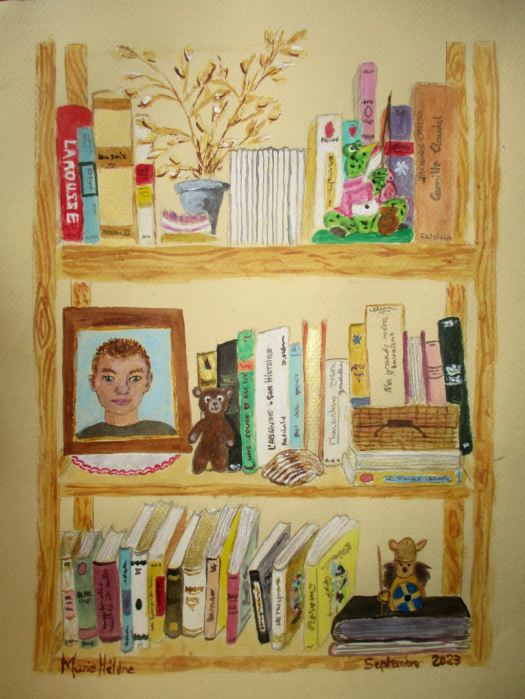 Ma bibliothèque